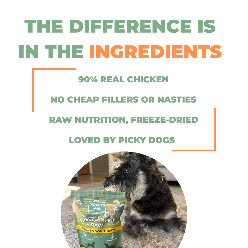 Freeze-Dried Raw Chicken Treats