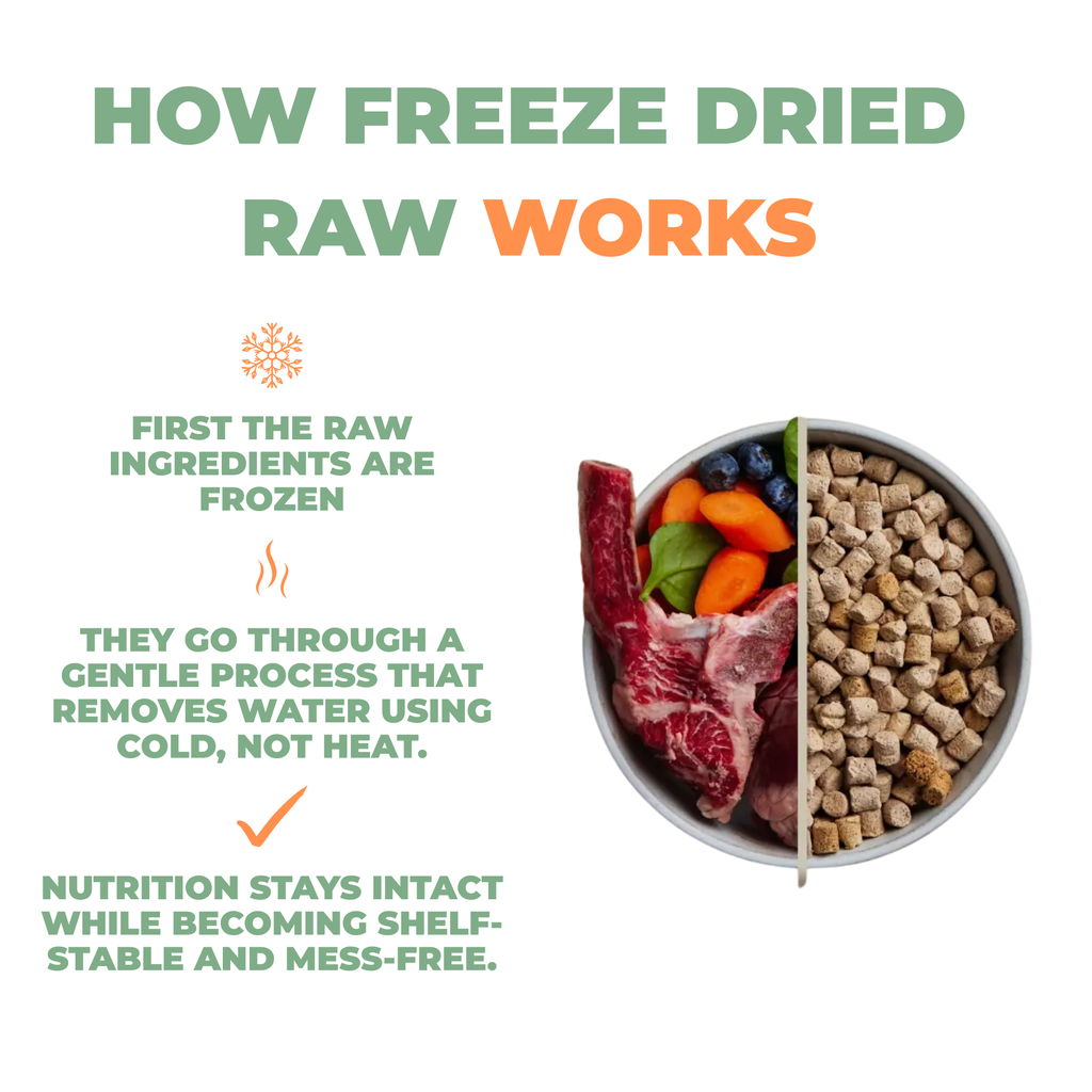 Freeze-Dried Raw Chicken Treats