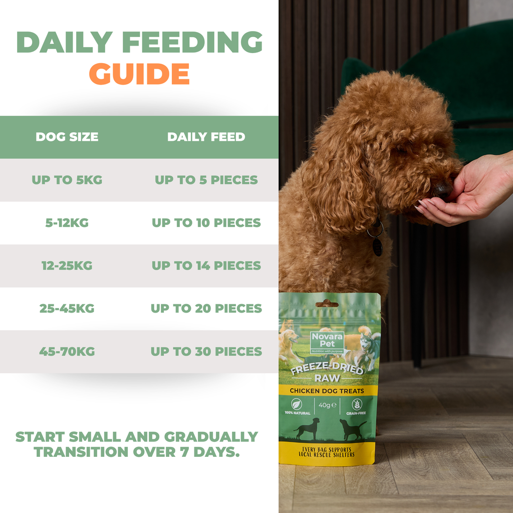 Freeze-Dried Raw Chicken Treats