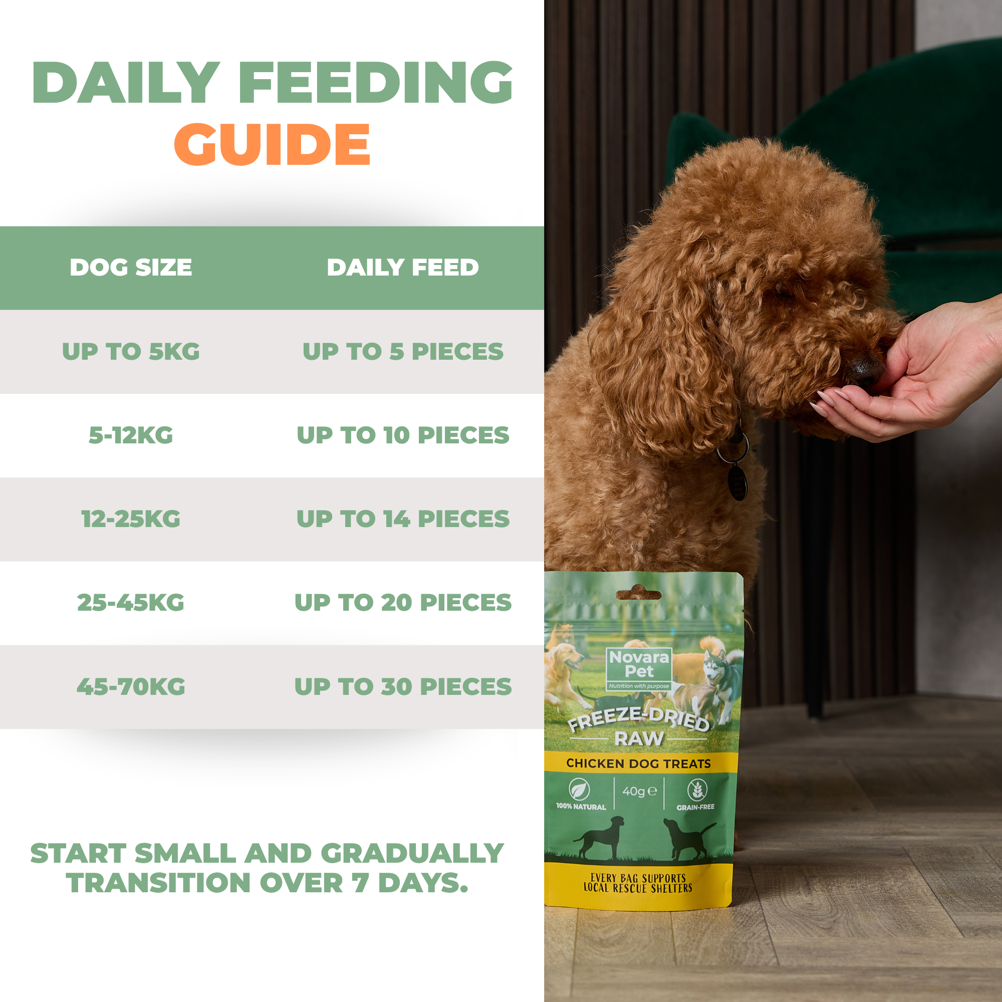 Freeze-Dried Raw Chicken Treats